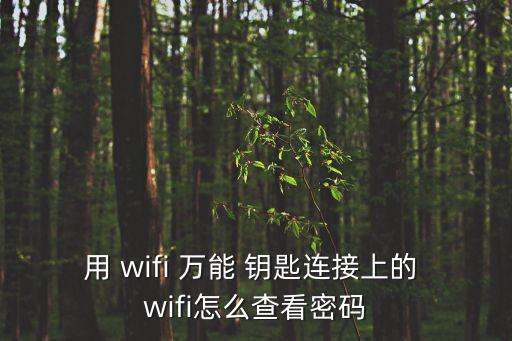 用 wifi 萬能 鑰匙連接上的 wifi怎么查看密碼