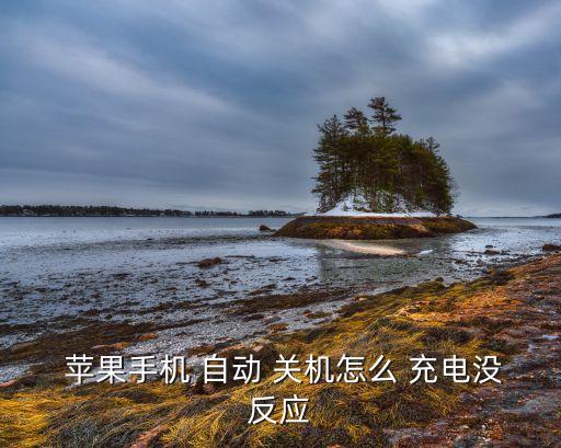  蘋果手機 自動 關機怎么 充電沒反應