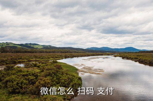 微信掃碼自動支付,微信支付步驟1:掃碼二維碼待支付