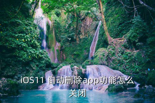 iOS11 自動刪除app功能怎么關(guān)閉