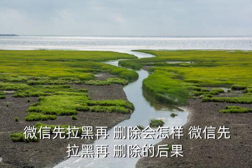  微信先拉黑再 刪除會怎樣 微信先拉黑再 刪除的后果