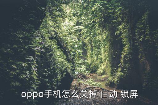 oppo怎么關(guān)閉自動鎖屏密碼,如何關(guān)閉和修改手機(jī)鎖屏?