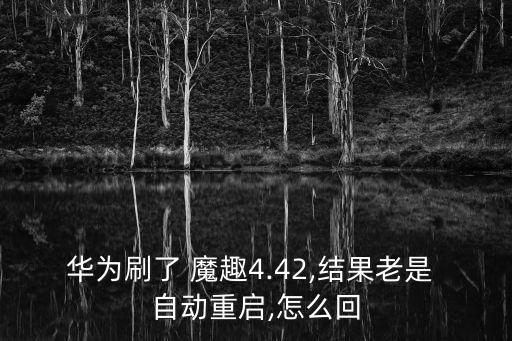 華為刷了 魔趣4.42,結(jié)果老是 自動(dòng)重啟,怎么回