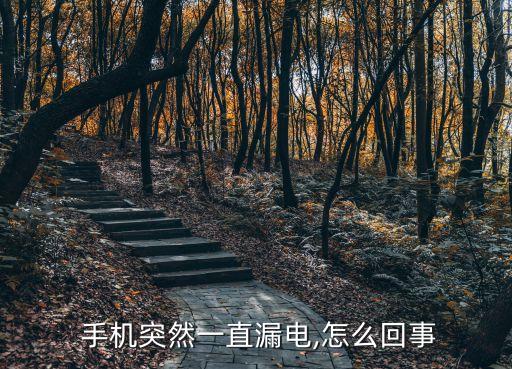  手機突然一直漏電,怎么回事