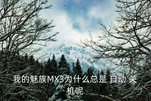 我的魅族MX3為什么總是 自動(dòng) 關(guān)機(jī)呢