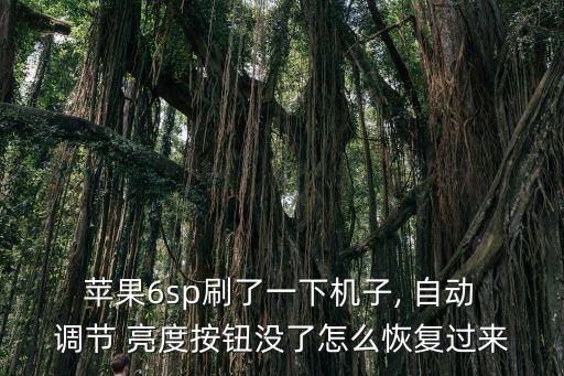蘋果6亮度自動調(diào)節(jié)在哪,蘋果6設(shè)置屏幕亮度和時間的步驟!