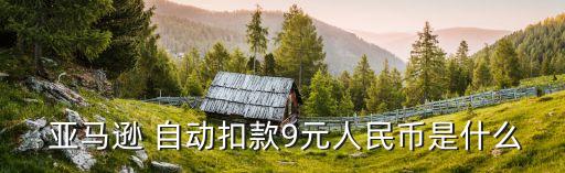  亞馬遜 自動(dòng)扣款9元人民幣是什么