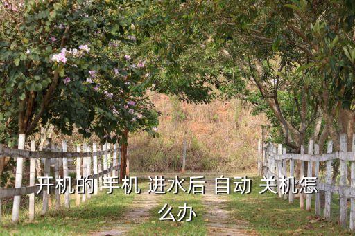 開機的 手機 進水后 自動 關(guān)機怎么辦