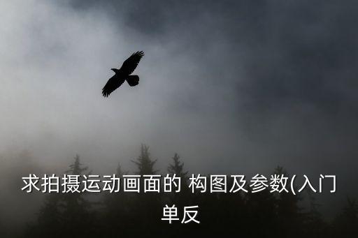 求拍攝運(yùn)動畫面的 構(gòu)圖及參數(shù)(入門 單反