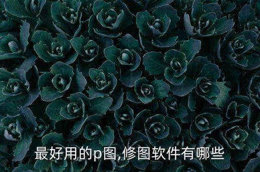 最好用的p圖,修圖軟件有哪些
