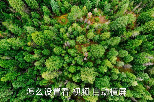怎么設(shè)置看 視頻 自動(dòng)橫屏