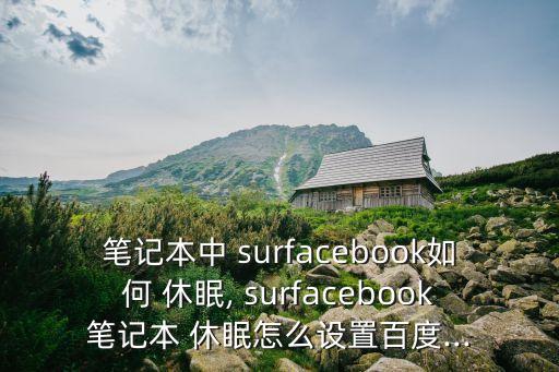 surface 自動(dòng)休眠,設(shè)備管理器怎么用?