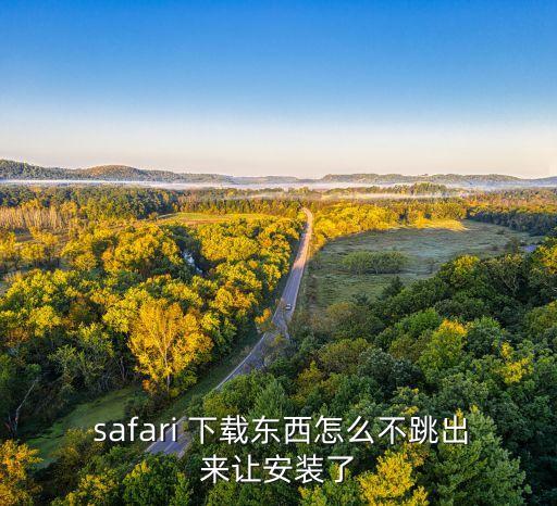 safari不自動下載,如何越獄?通過瀏覽器或插件都可以!