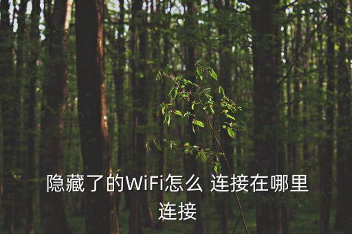 隱藏的網(wǎng)絡(luò)連接怎么自動(dòng)連接無線網(wǎng)絡(luò),怎么連接to-2網(wǎng)絡(luò)?