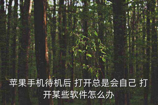 蘋果手機待機后 打開總是會自己 打開某些軟件怎么辦