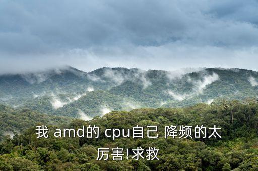 我 amd的 cpu自己 降頻的太厲害!求救