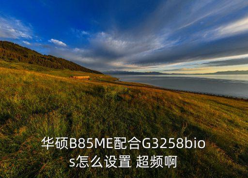 g3258 自動(dòng)超頻,本屆大選提名結(jié)果