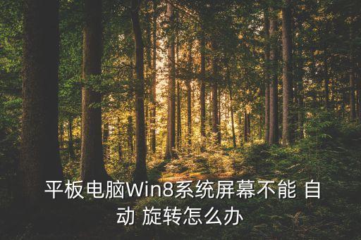  平板電腦Win8系統(tǒng)屏幕不能 自動 旋轉(zhuǎn)怎么辦