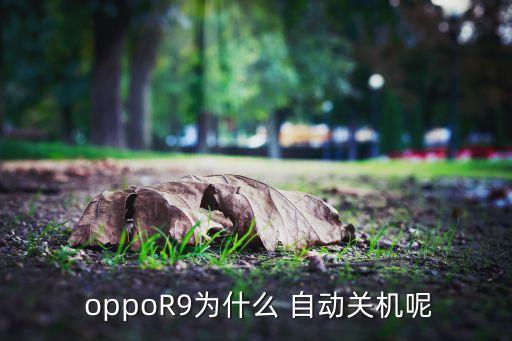 oppo r9 yy自動關(guān)閉,系統(tǒng)需要注意什么?