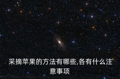 水果自動(dòng)采摘機(jī),如何采摘和運(yùn)輸蔓越莓?