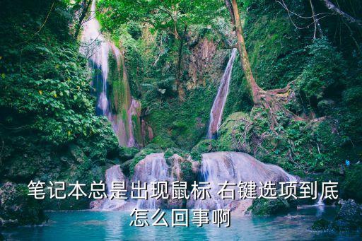 筆記本自動右鍵,電腦出現(xiàn)病例怎么辦?