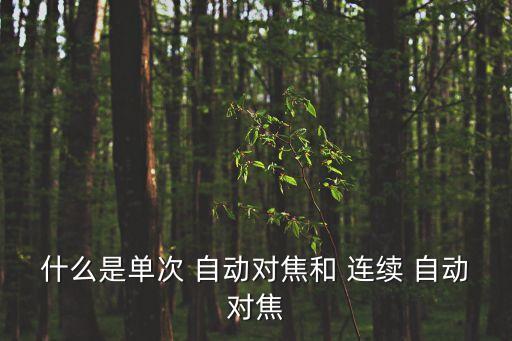 什么是單次 自動對焦和 連續(xù) 自動對焦