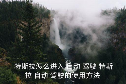 特斯拉自動(dòng)輔助駕駛系統(tǒng),特斯拉h(huán)ow怎么開(kāi)?