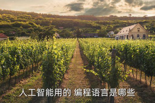 人工智能用的 編程語言是哪些