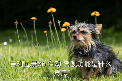 吉利遠景X6 自動 駕駛功能是什么意思