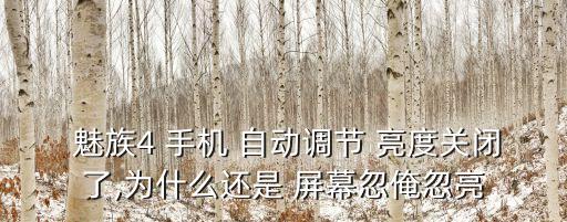 魅族4 手機(jī) 自動(dòng)調(diào)節(jié) 亮度關(guān)閉了,為什么還是 屏幕忽俺忽亮