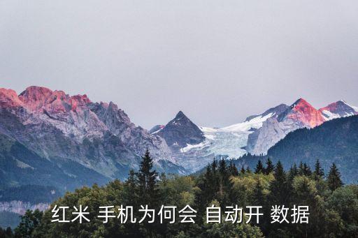 紅米手機(jī)數(shù)據(jù)自動開啟,手機(jī)數(shù)據(jù)和wi-fi總是打開設(shè)置:1