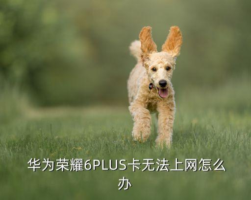  華為榮耀6PLUS卡無法上網(wǎng)怎么辦