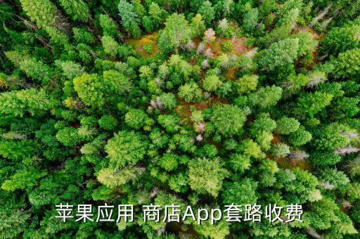應(yīng)用商店自動(dòng)扣除1元,這些應(yīng)用都在哪里?