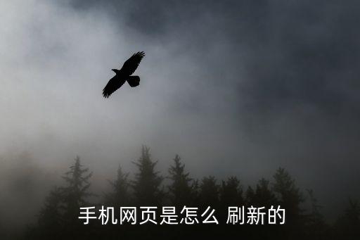 手機(jī)頁面自動刷新,瀏覽器手機(jī)網(wǎng)頁自動刷新步驟:點擊開始刷新