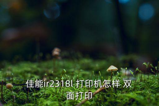 佳能ir2318l 打印機怎樣 雙面打印