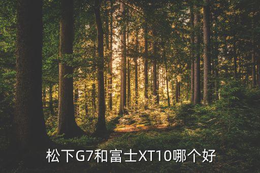  松下G7和富士XT10哪個好