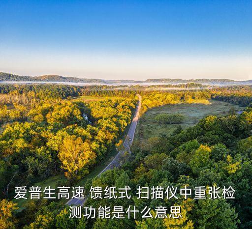 愛普生高速 饋紙式 掃描儀中重張檢測(cè)功能是什么意思