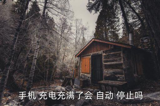  手機 充電充滿了會 自動 停止嗎
