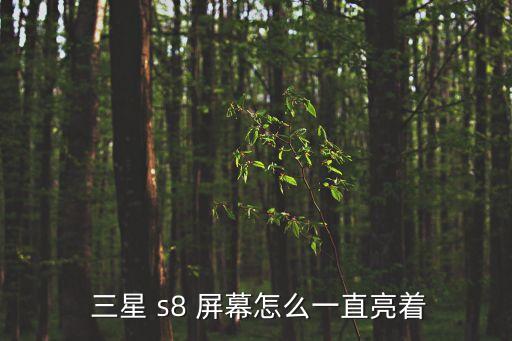  三星 s8 屏幕怎么一直亮著