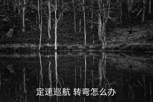 自動駕駛轉彎問題,自動巡航全速自適應巡航無車配備自動轉彎