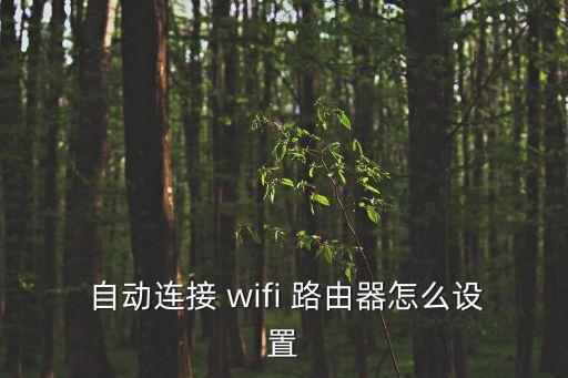 wifi路由器自動(dòng),定期關(guān)閉后如何重新打開wifi?