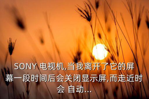 索尼電視 自動屏顯,索尼電視回廠變雙屏顯示