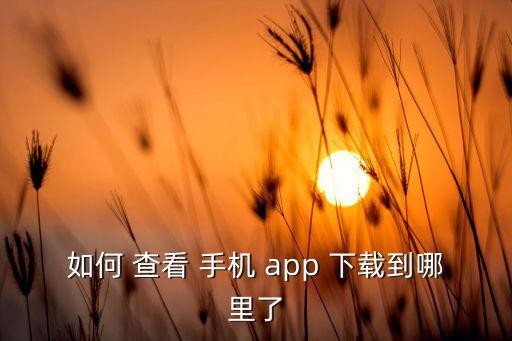 查看手機app自動下載,從這里下載manage需要什么?