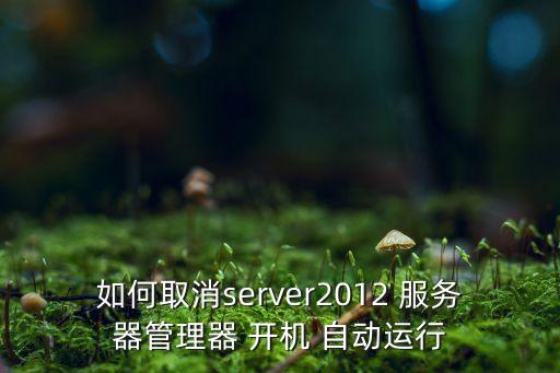 服務(wù)器開機(jī)自動啟動程序,如何啟動mysql服務(wù)?