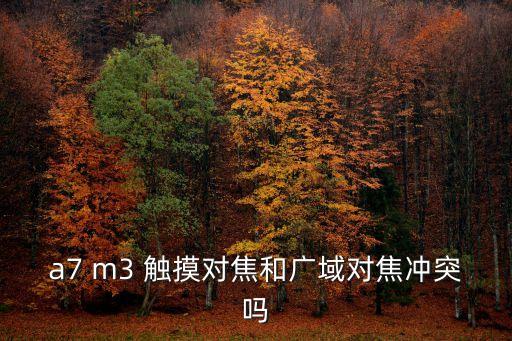 a7 m3 觸摸對焦和廣域對焦沖突嗎