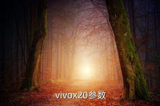  vivox20參數(shù)