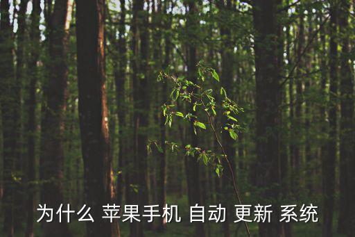 為什么 蘋果手機(jī) 自動(dòng) 更新 系統(tǒng)