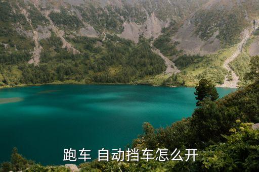 跑車(chē)自動(dòng)擋,不同操作方式不同跑車(chē)風(fēng)格各異