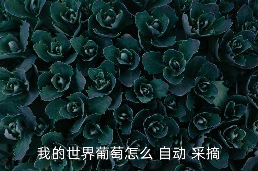 我的世界葡萄怎么 自動(dòng) 采摘