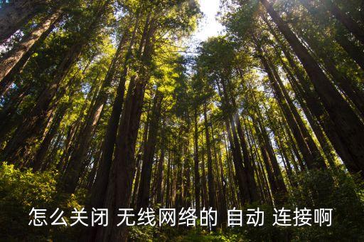 怎么關(guān)閉 無線網(wǎng)絡(luò)的 自動 連接啊